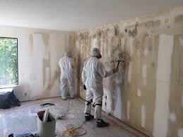 Best Real Estate Mold Inspection  in Lucerne, CA